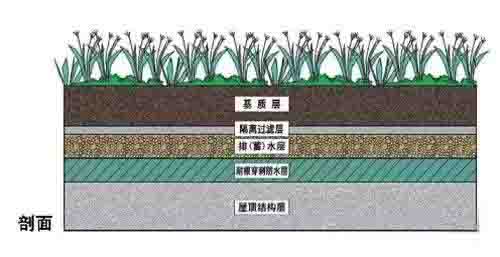 湖南金年会生态环境建设有限公司,人造草坪假草皮,湖南雨水收集处理工艺 湖南金年会生态环境建设有限公司,人造草坪假草皮,湖南雨水收集处理工艺
